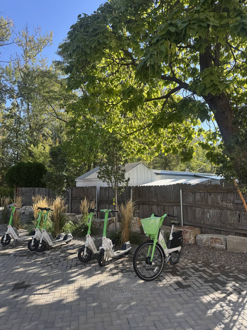 Lime e-bikes and scooters docked on the paver plaza at the Boardwalk